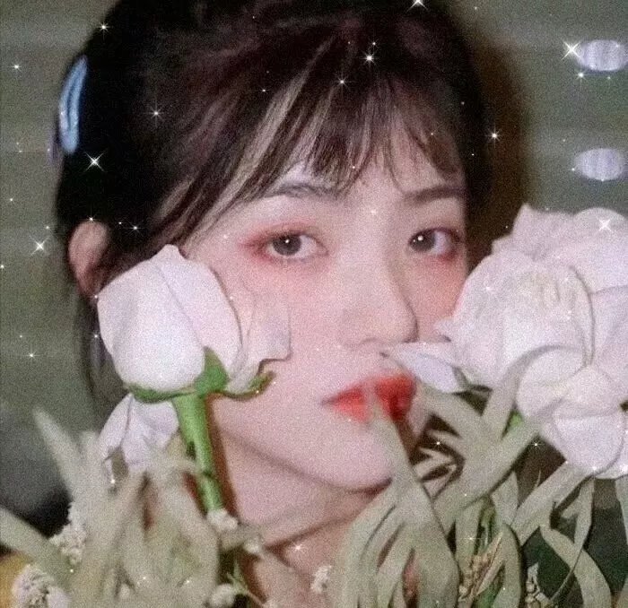 鬼吹灯之南海归墟动画版